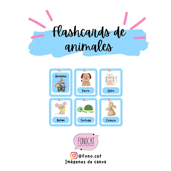 Flashcards Categorías Semánticas