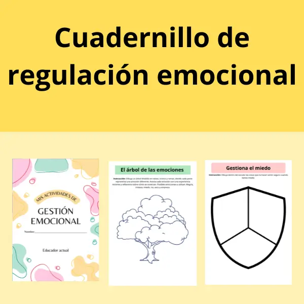 Mis actividades de regulación emocional