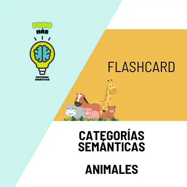 flashcard 1