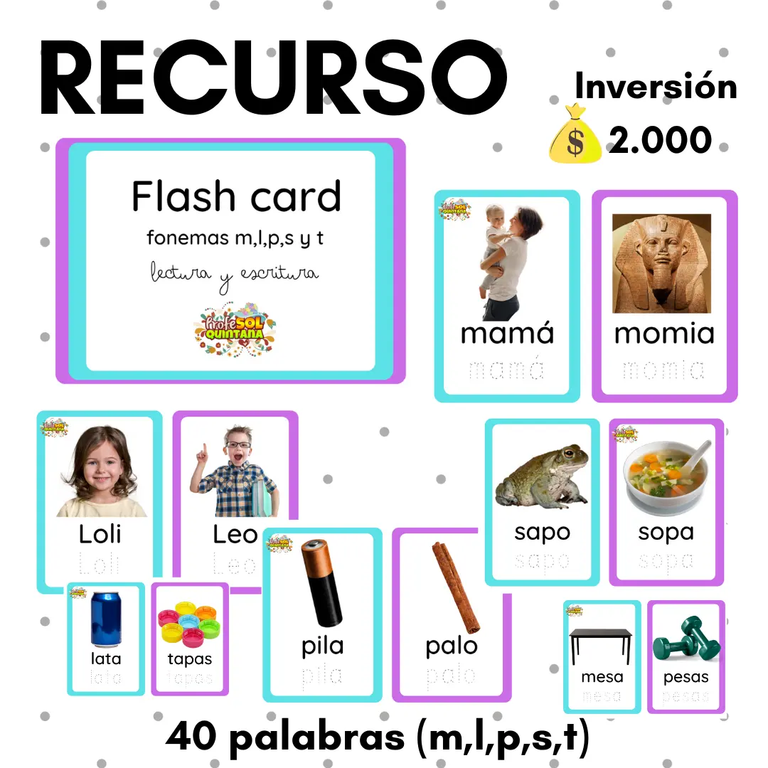 FLASH CARD LECTURA Y ESCRITURA EN SCRIPT