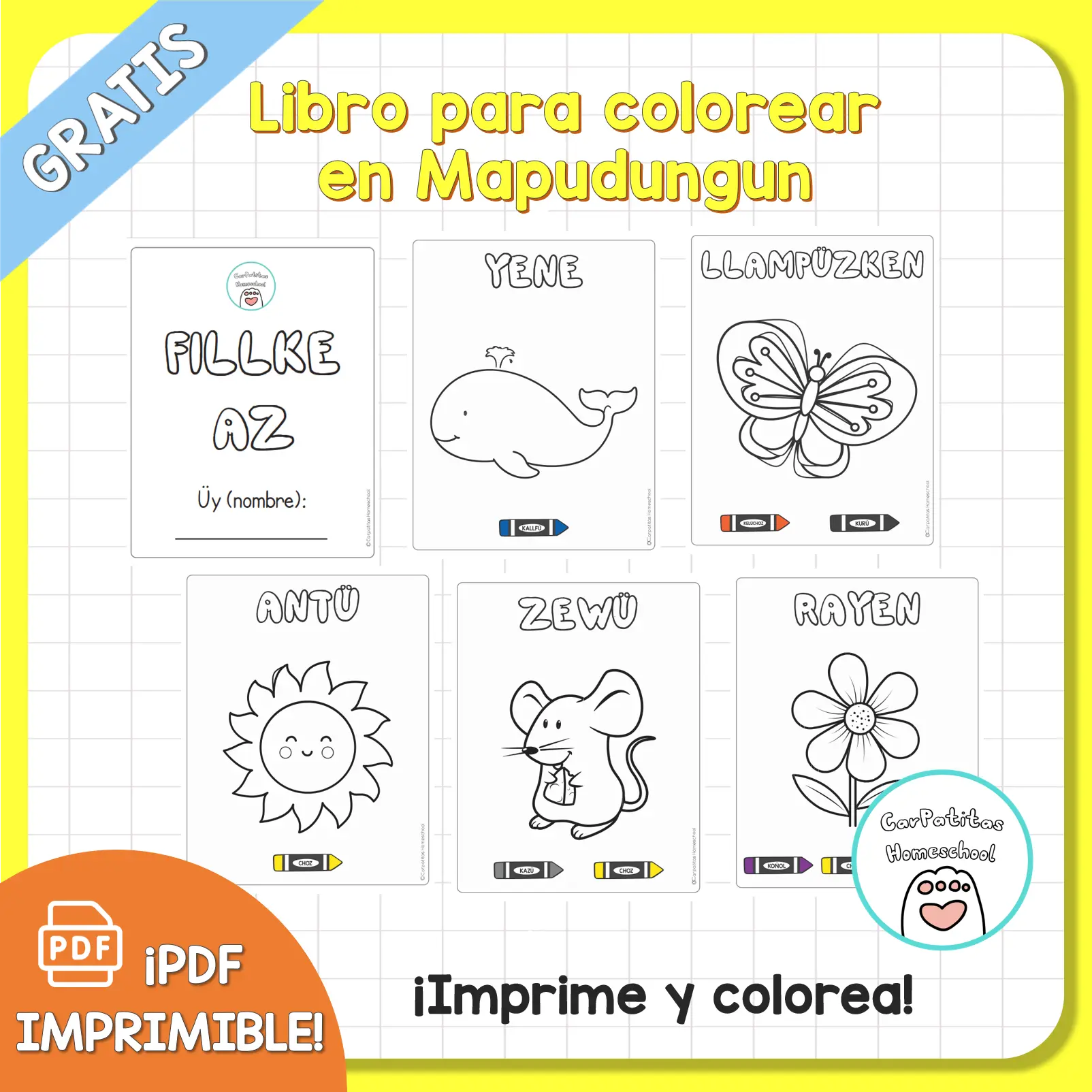 PDF Gratis: Libro para Colorear en Mapudungun