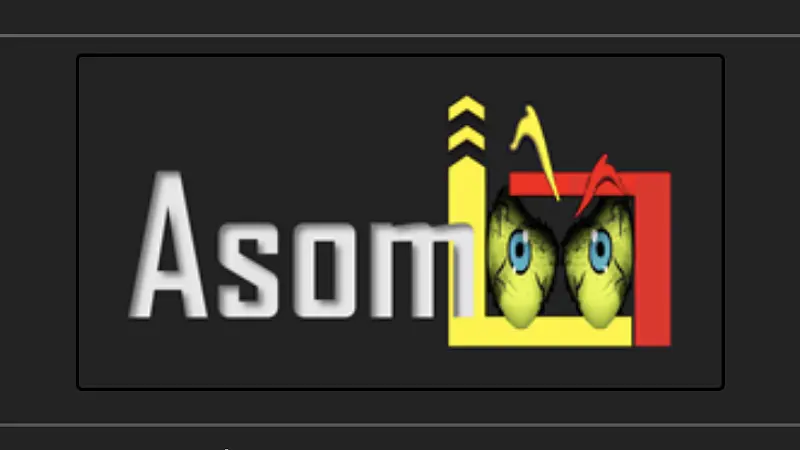 Tienda Asomoo