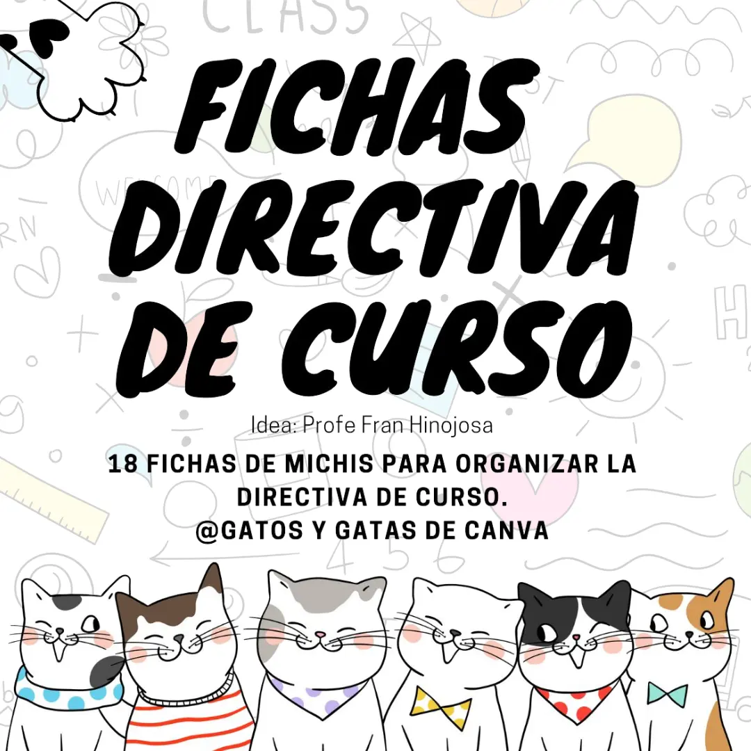 Fichas  directiva de curso