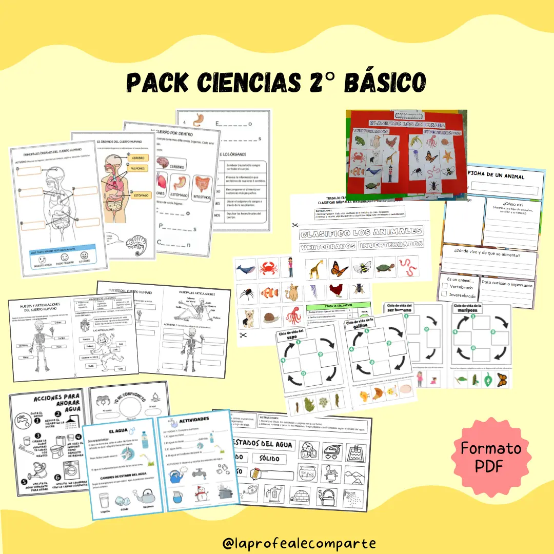 Pack Ciencias 2° básico