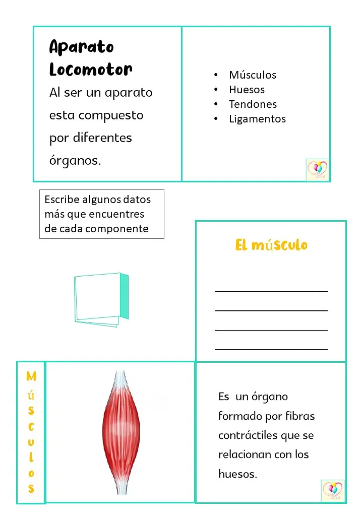 Diapositiva6.JPG