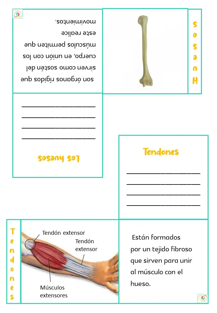 Diapositiva7.JPG