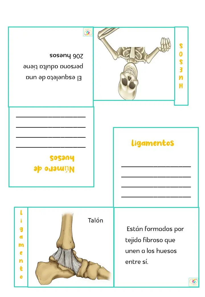 Diapositiva8.JPG