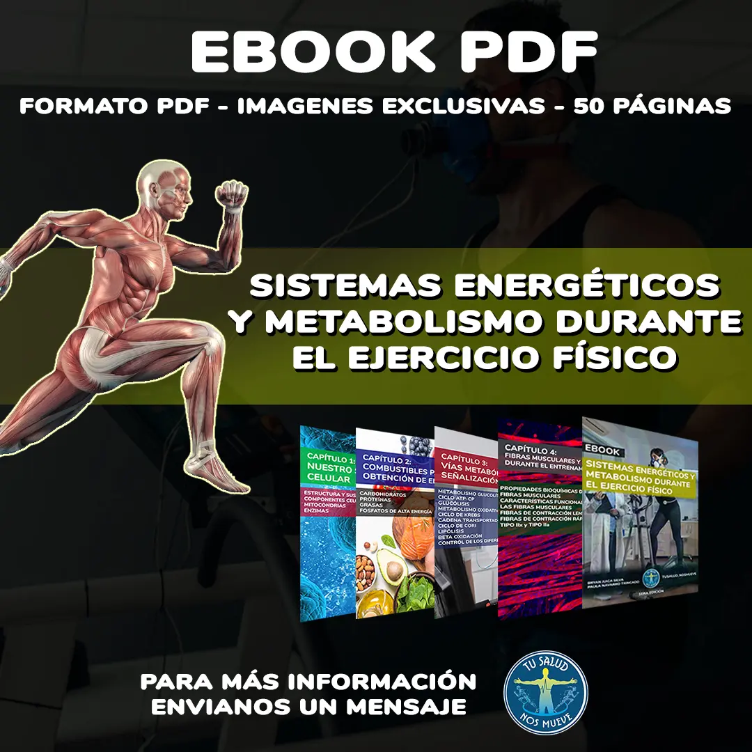 EBOOK "SISTEMAS ENERGÉTICOS Y METABOLISMO DURANTE EL EJERCICIO FÍSICO"