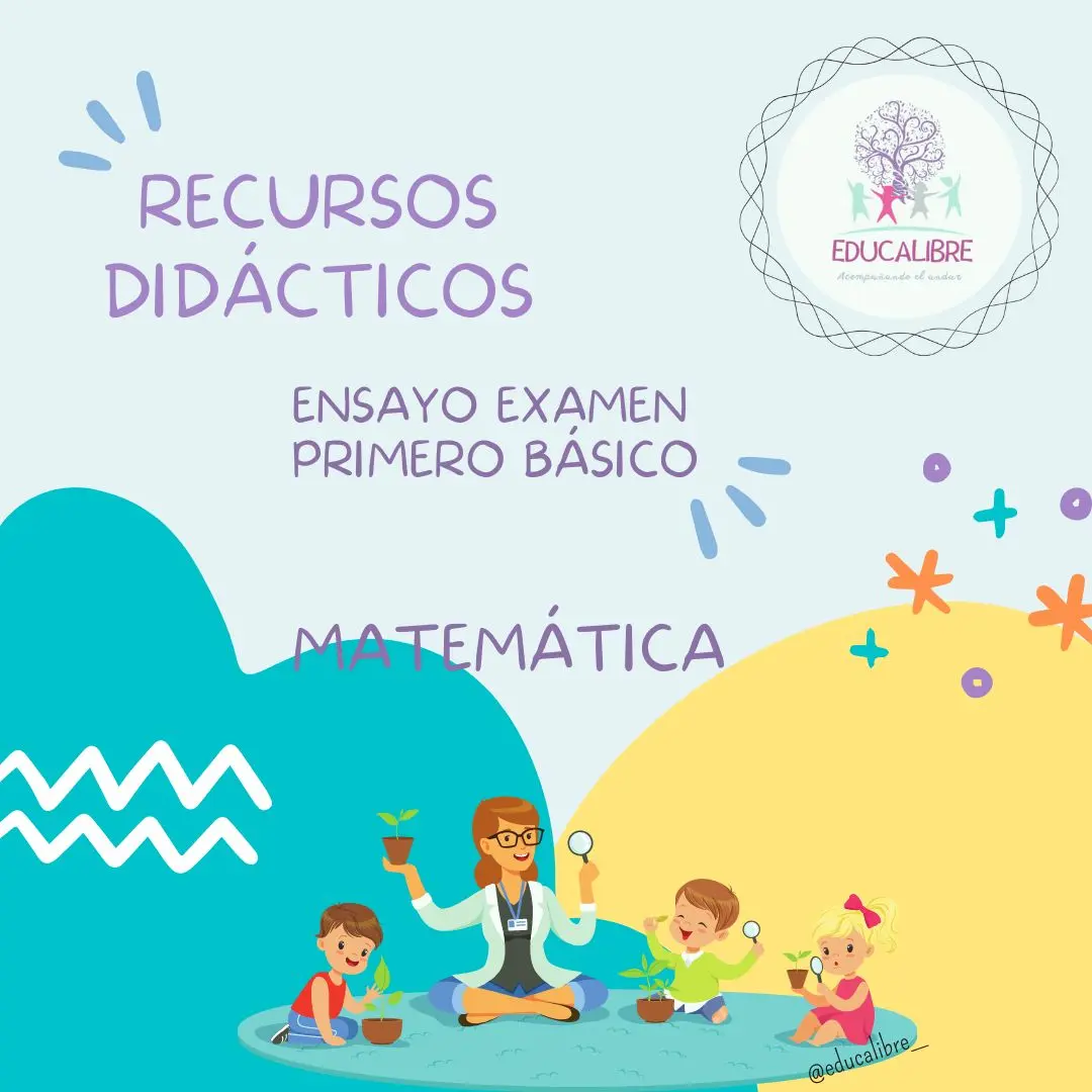 Ensayo Examen de Validación Matemática 1ero básico