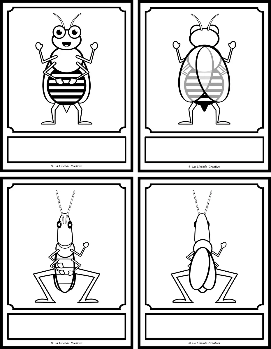 TASK CARDS INSECTOS ESPAÑOL_#g106331.png