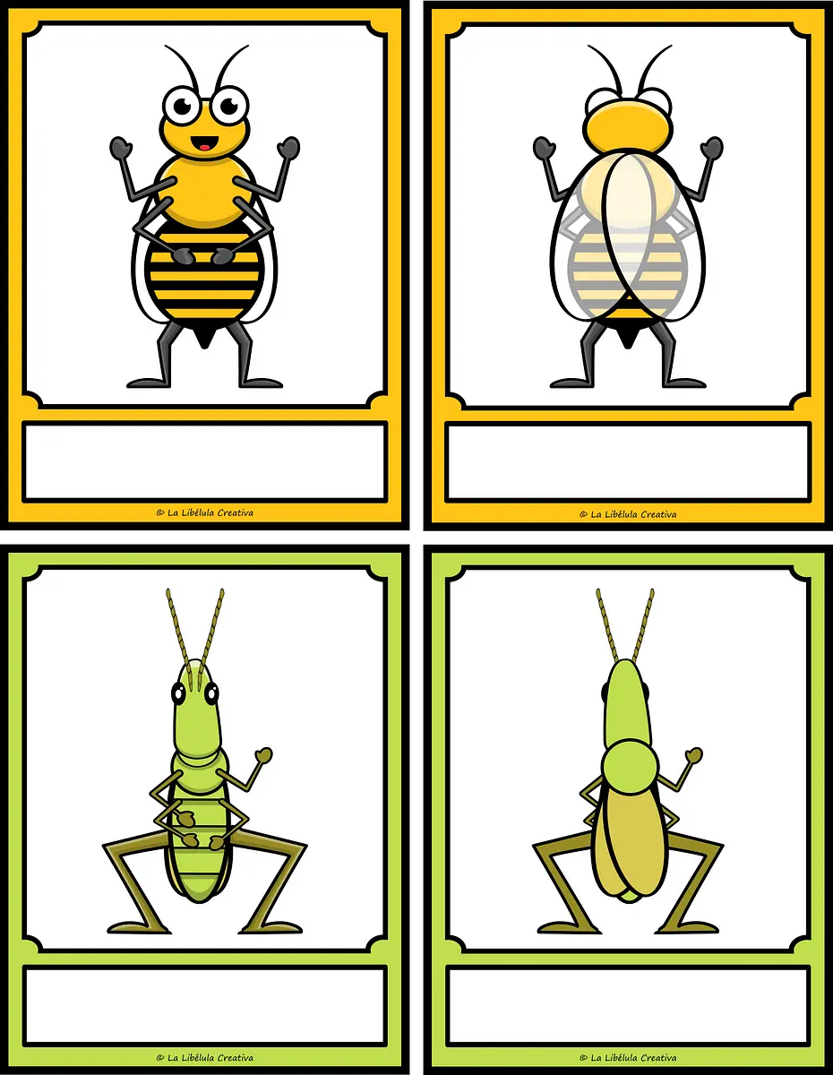 TASK CARDS INSECTOS ESPAÑOL_#g139127.png