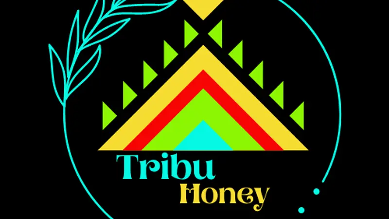 Como nace tribu honey, con la preparación y venta de mi material educativo. Los profesores hoy en día preparan mucho material para encantar, enseñar y motivas a los estudiantes en el logro de los aprendizajes, y con la falta de tiempo siempre estamos buscando recursos que ya estén listos y que sean del interés de los niños y niñas.
Los invito a visitar la página, descargar los recursos pedagógicos y también generar pedidos de actividades que necesiten para sus clases 