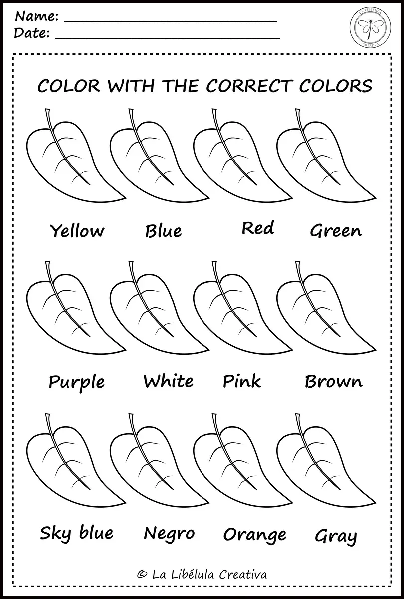 BOSQUE ACTIVIDAD COLOR INGLES_#g752147.png