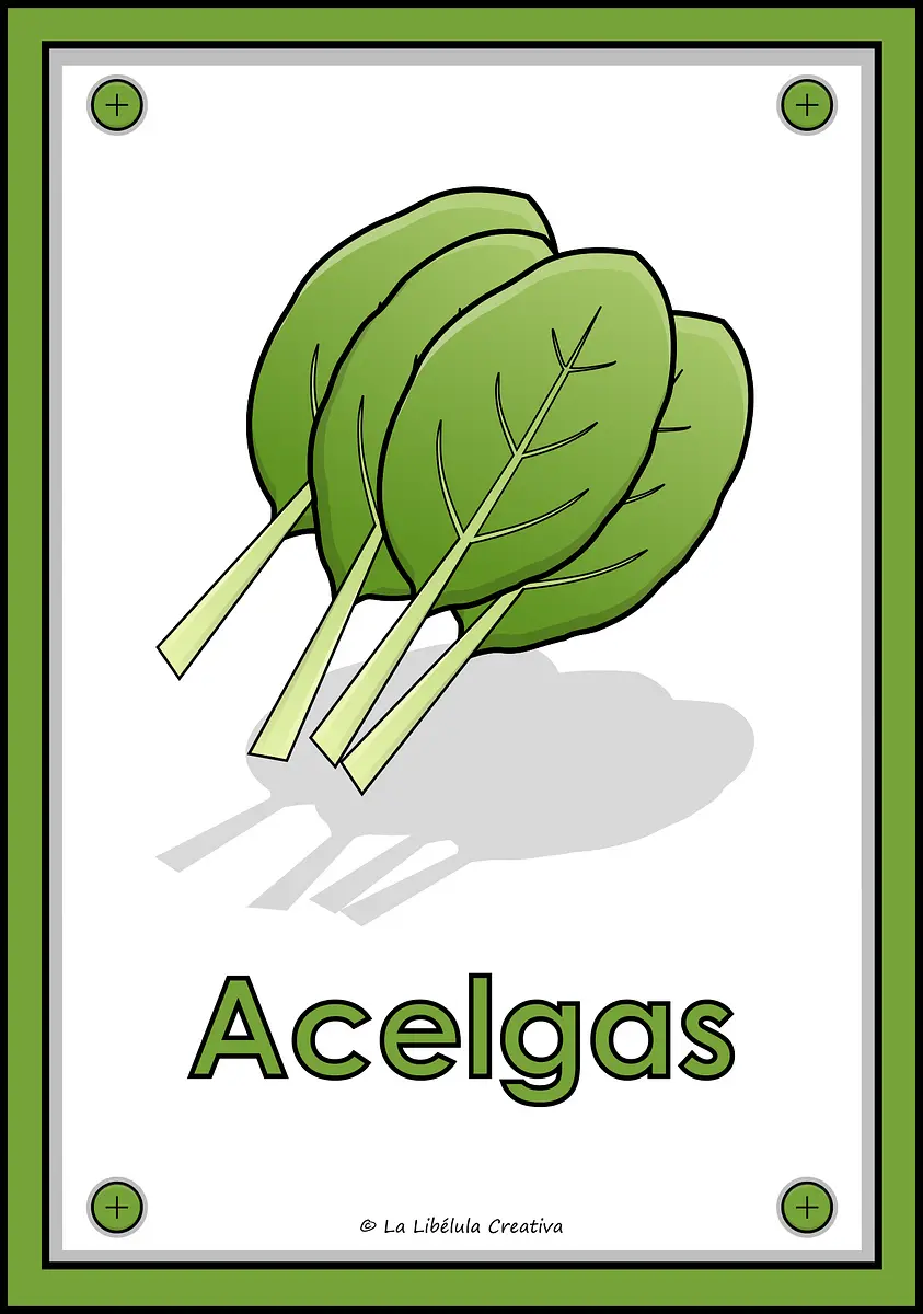 VERDURAS ESP_g355.png