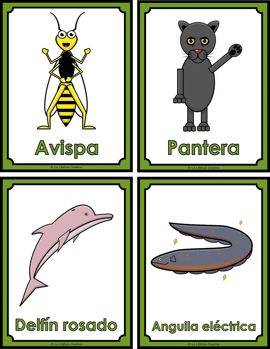 FLASH CARDS FRUTAS ESPAÑOL_#g223387.png