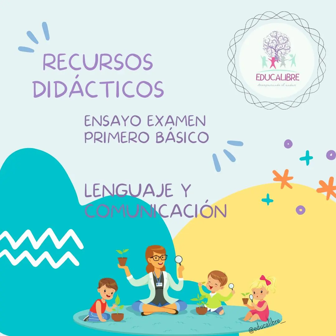 Ensayo Examen de Validación Lenguaje 1ero básico