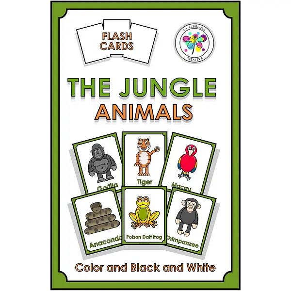 Flash Cards Jungle Color Cut Animals Wild