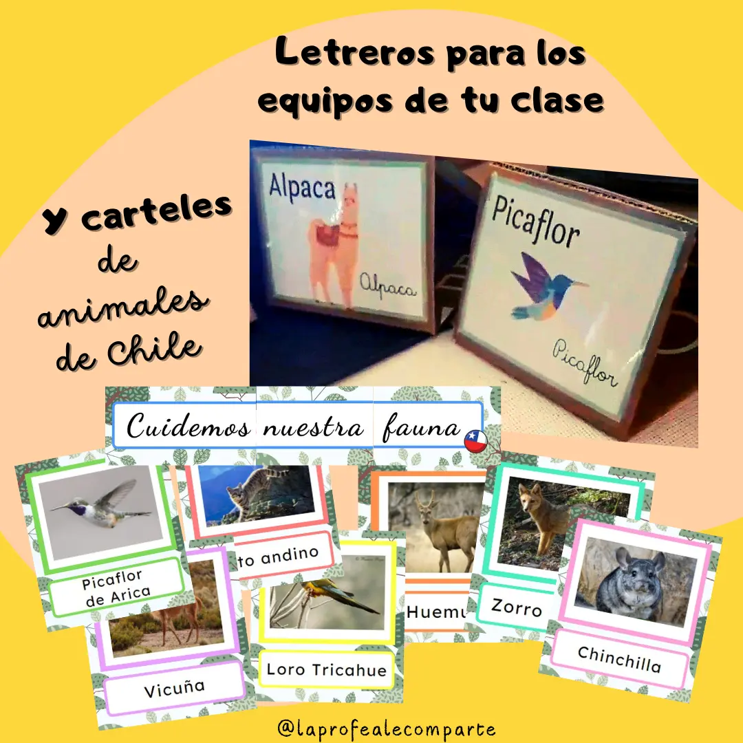 Pack Letreros y carteles de animales chilenos @laprofealecomparte