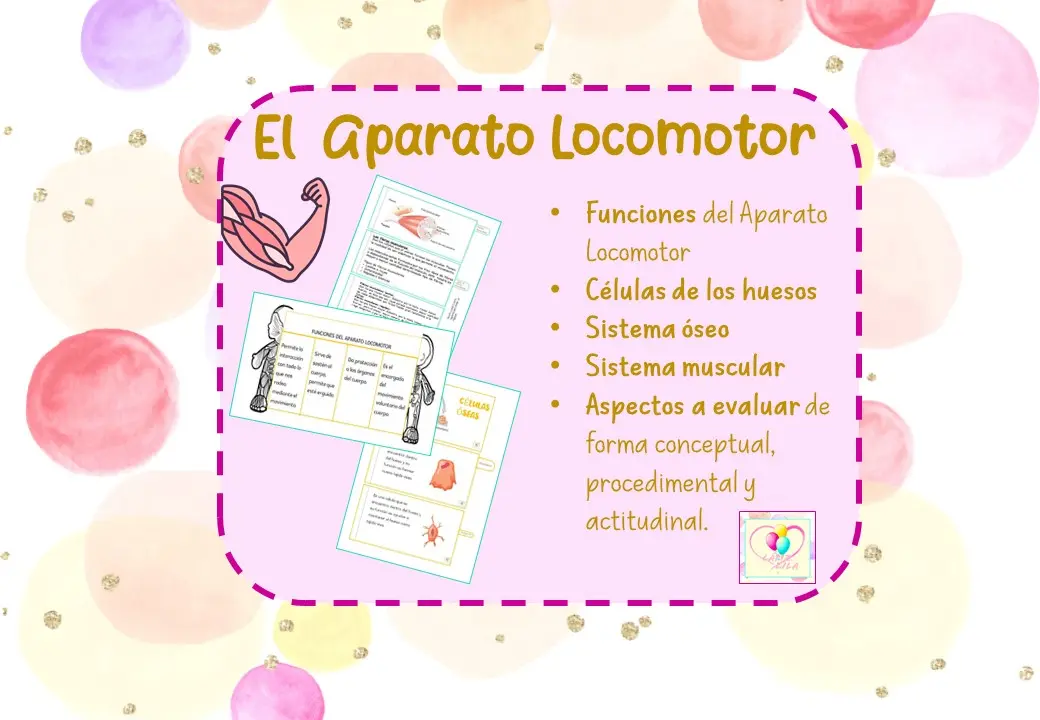 EL APARATO LOCOMOTOR