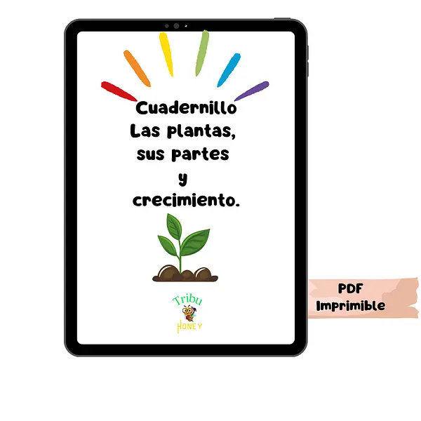 Las plantas, sus partes y crecimiento