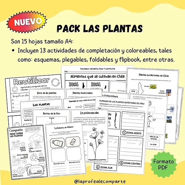 PACK DE FICHAS LAS PLANTAS