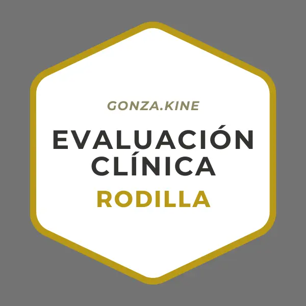 Curso Evaluación Clínica de Rodilla: Una mirada Funcional SABADO 3 de Febrero