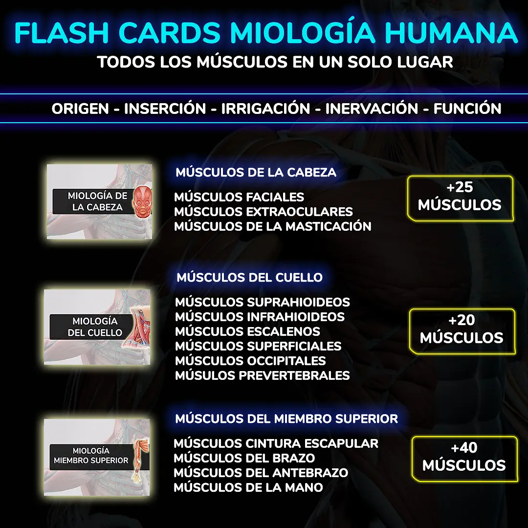 PROMO FSLAH CARD 2.jpg