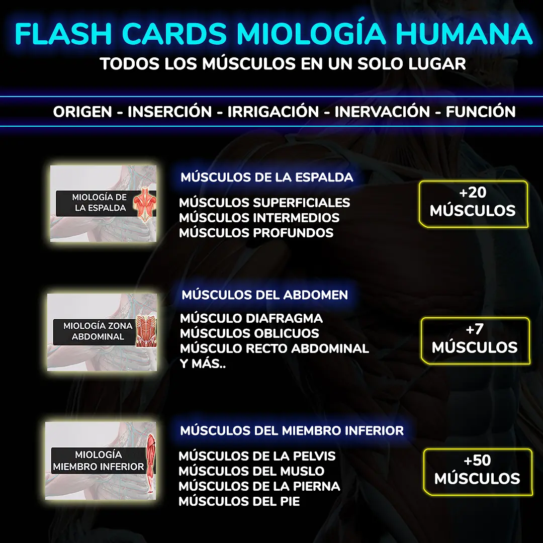 PROMO FSLAH CARD 3.jpg