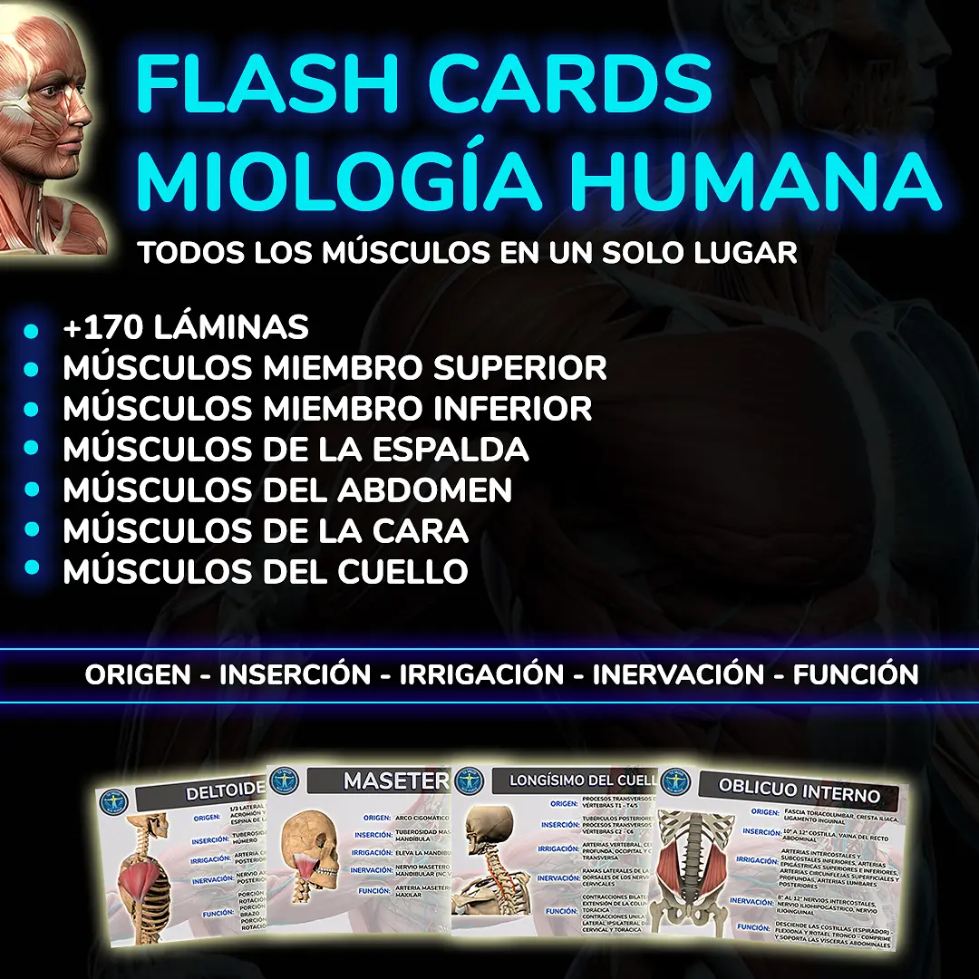 PROMOCIÓN FLASH CARDS.jpg