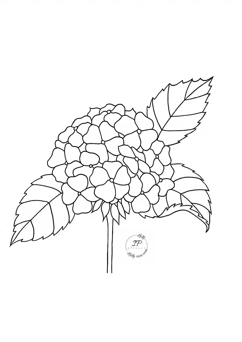 C2B58BDC-A959-4216-93A0-CAF114786835.png