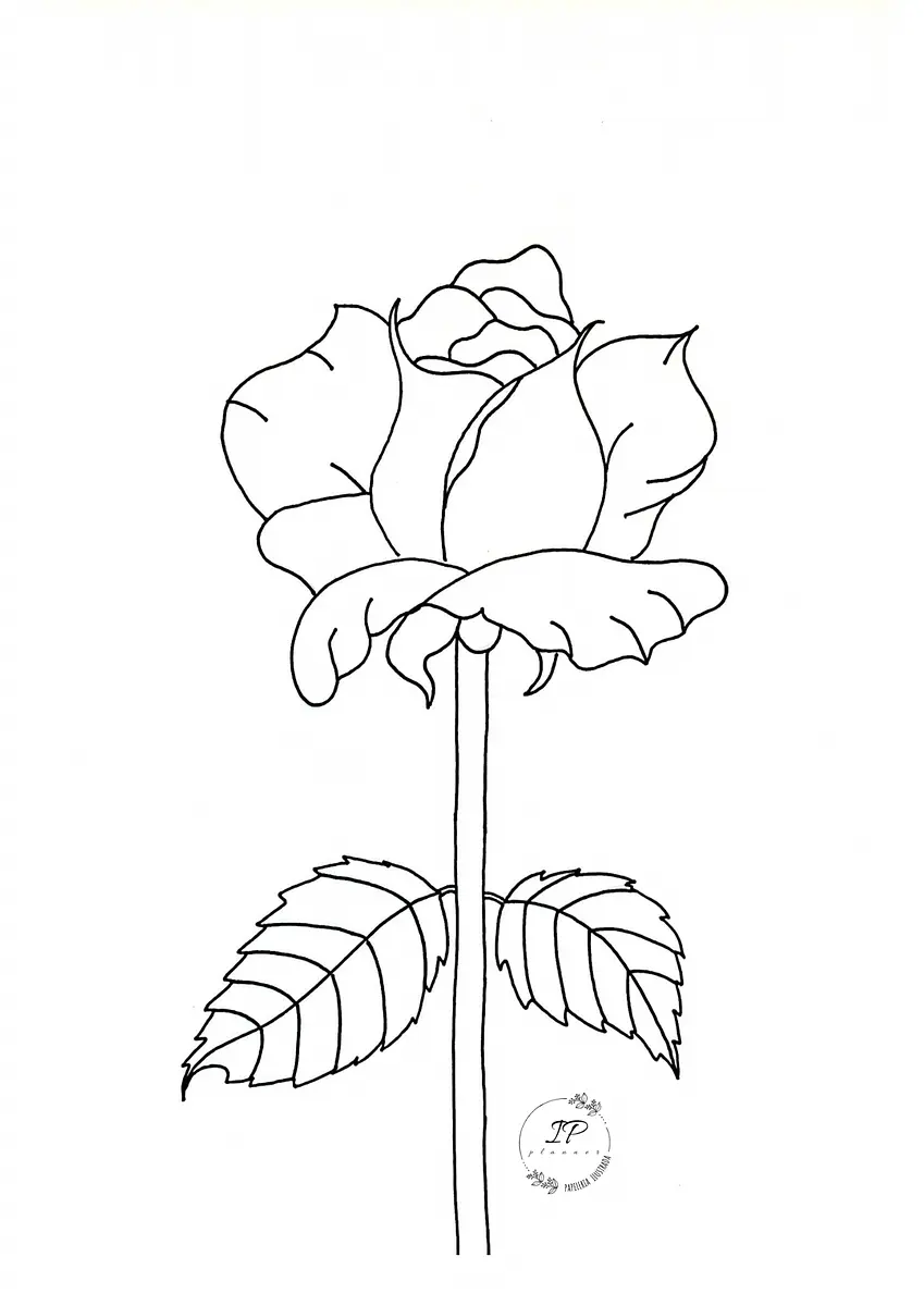 0D1BF4C6-D727-420E-B828-AE5F97EBABE1.png