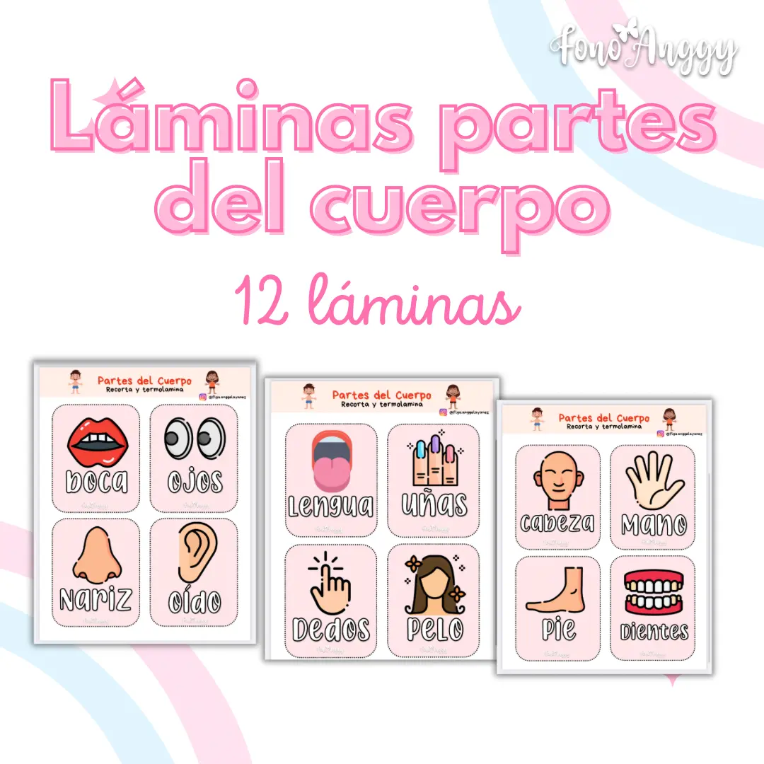 Láminas partes del cuerpo