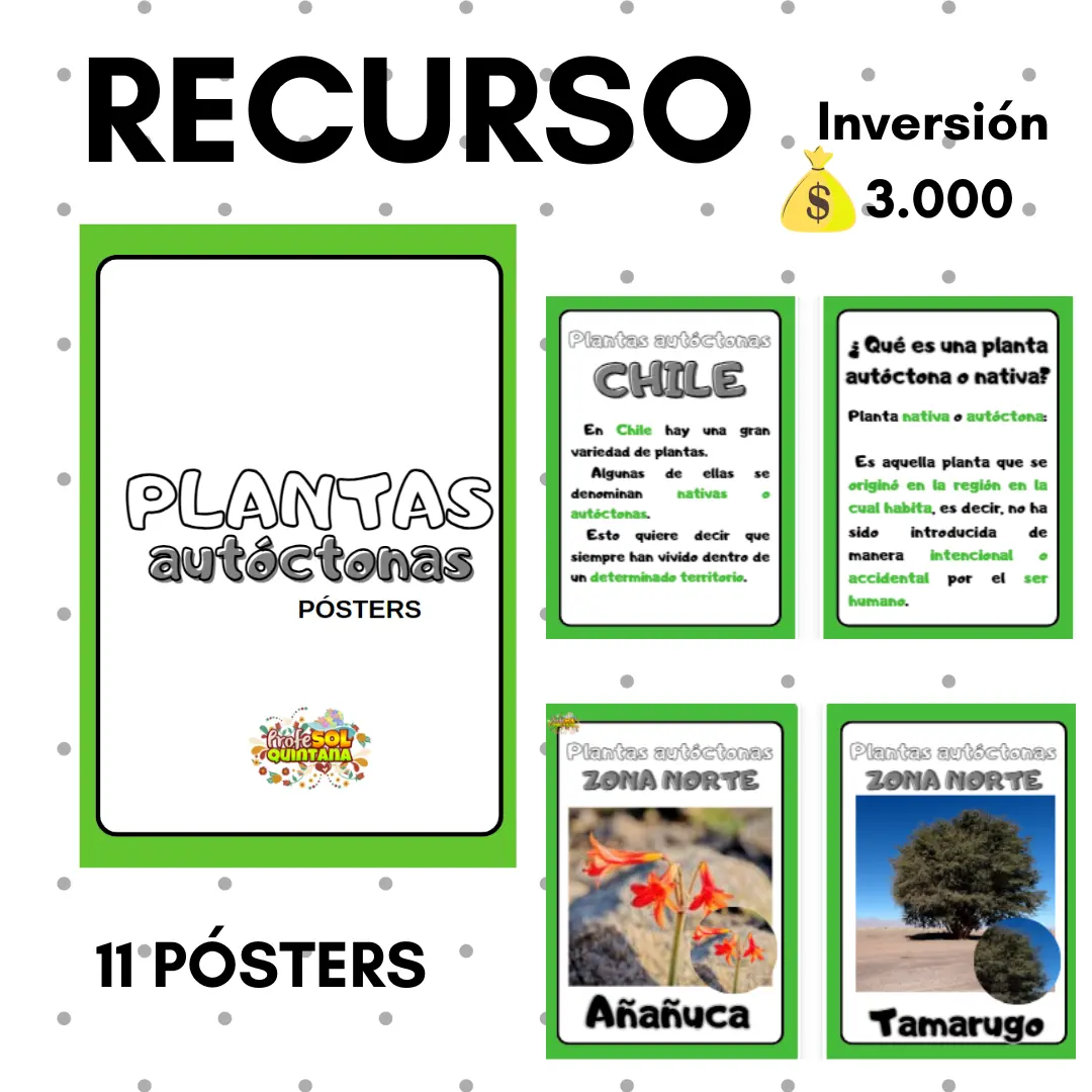 PACK "PLANTAS AUTÓCTONAS DE CHILE"