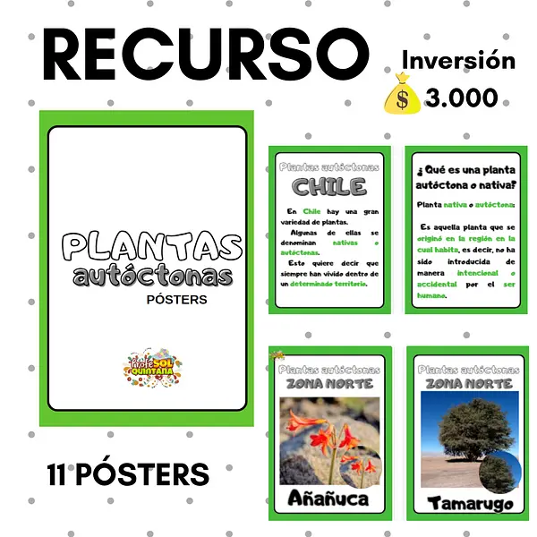 PACK "PLANTAS AUTÓCTONAS DE CHILE"