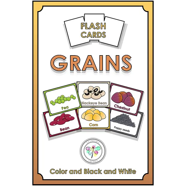 Flash Cards Grains Color Cut Food Healthy Eat