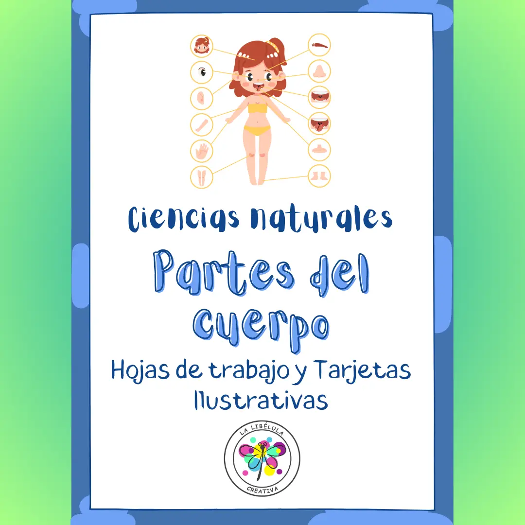 Spanish Body Parts Worksheets Flash Cards Science Partes Cuerpo Ciencias NO PREP