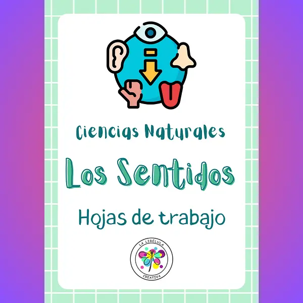 Spanish Science Five Senses Worksheets Flash Cards Hojas Tarjetas Sentidos