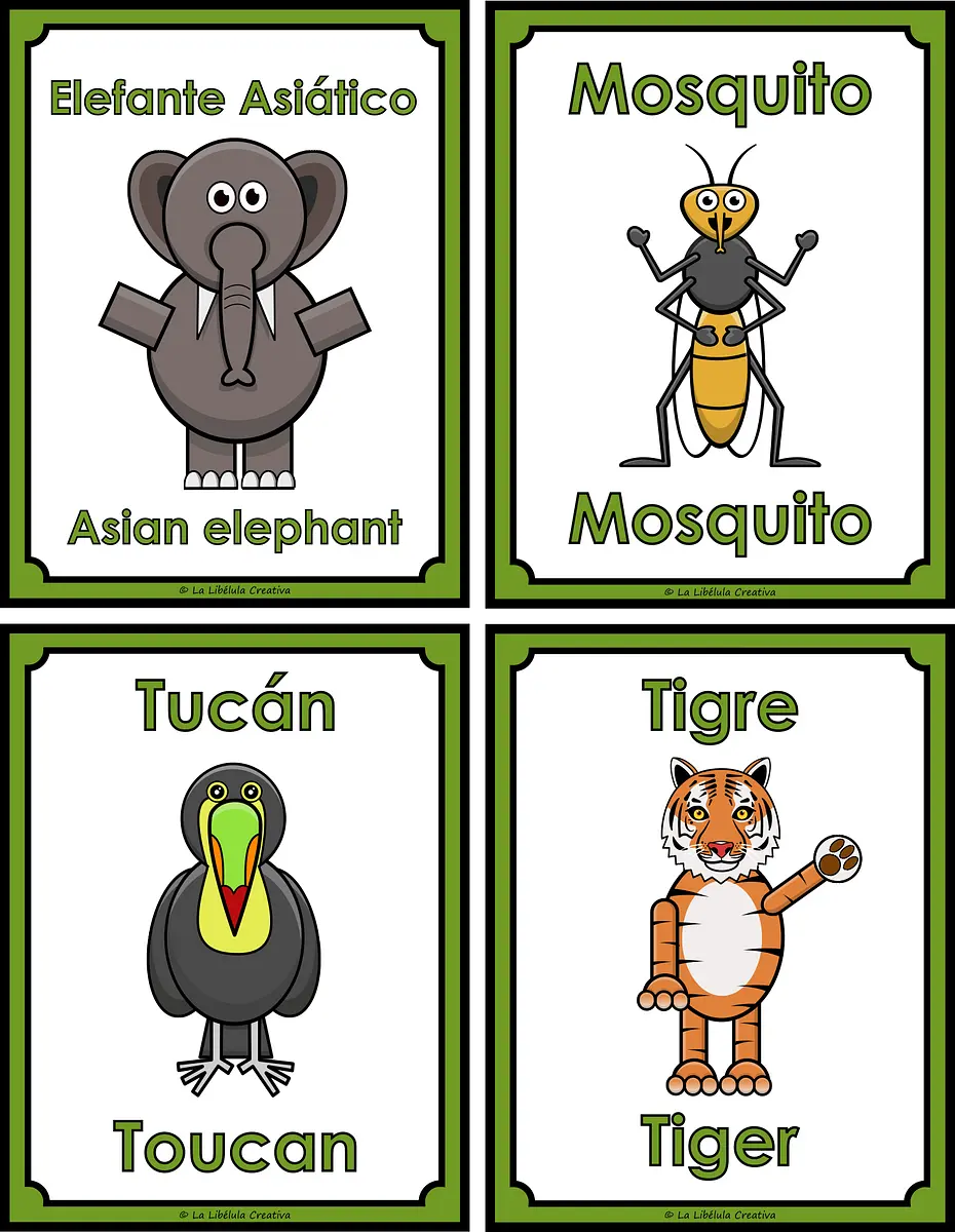 FLASH CARDS FRUTAS ESPAÑOL_#g807.png