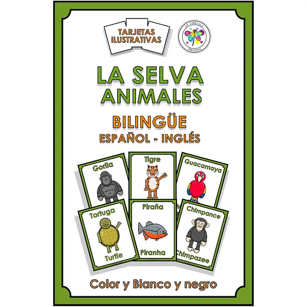 Flash Cards Selva Animales Ingles Español Jungle Animals Bilingual English Spanish