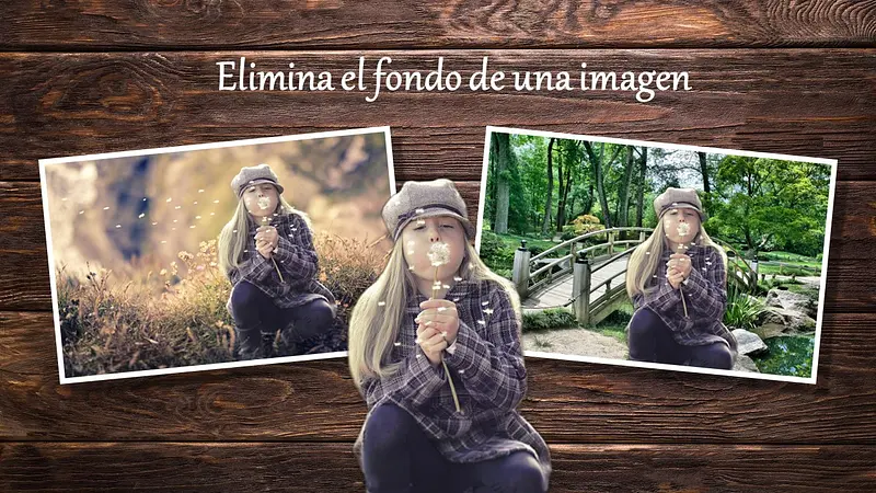 Eliminar el fondo de una imagen sin programa.