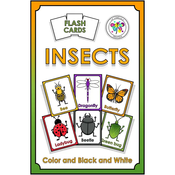 Flash Cards Insects Color Cut Animals Black and White