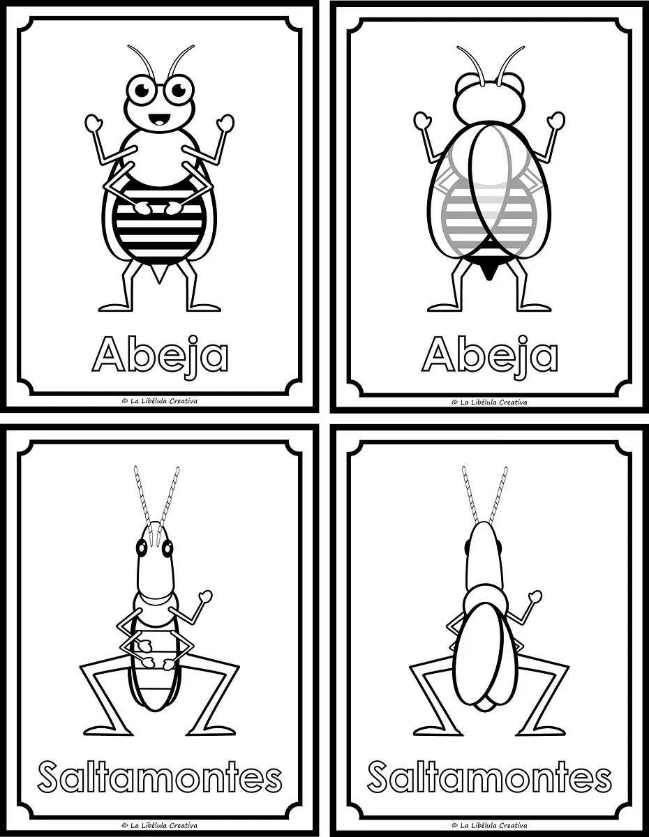 FLASH CARDS INSECTOS ESPAÑOL_#g383689.png