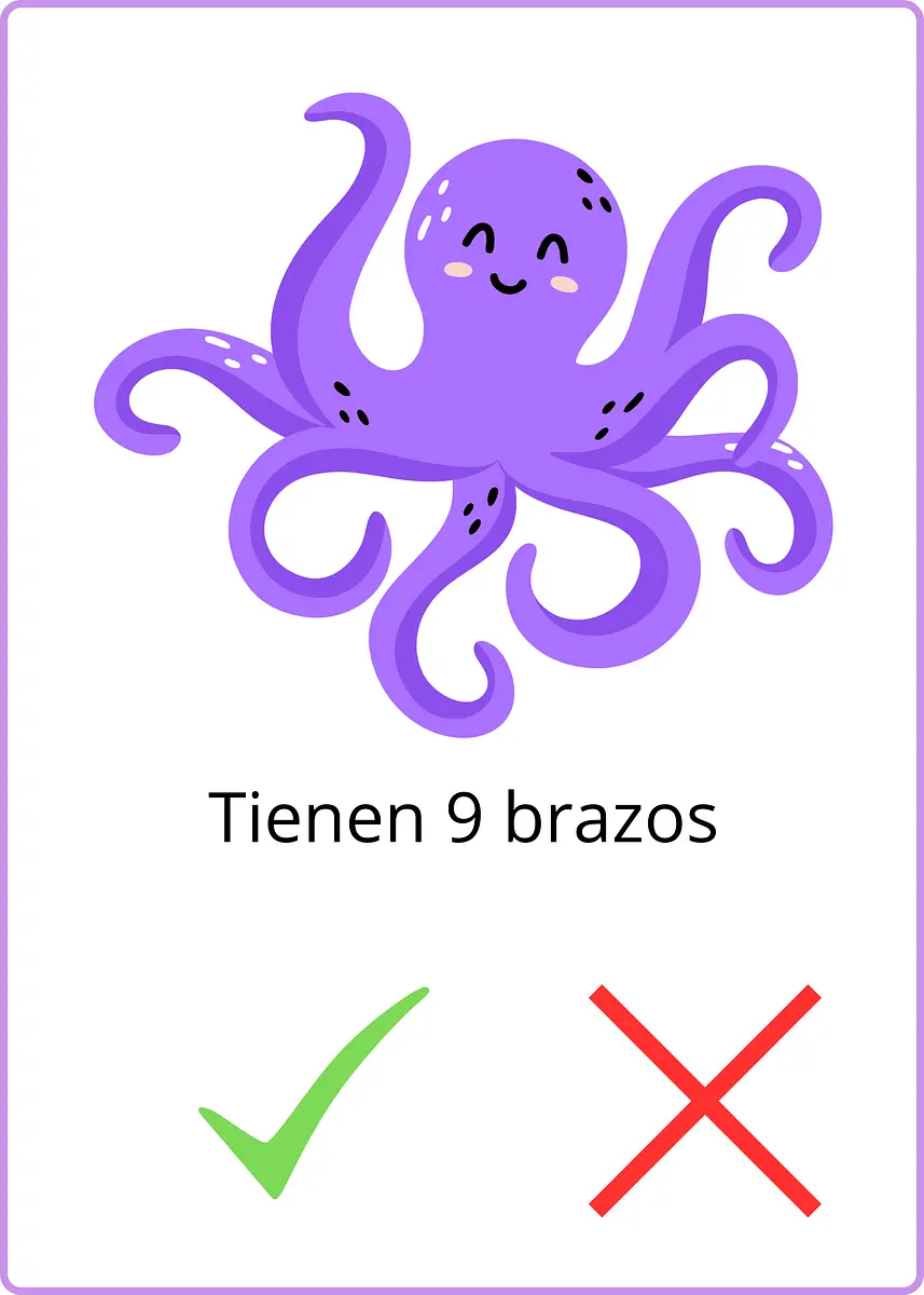 Flascard.png