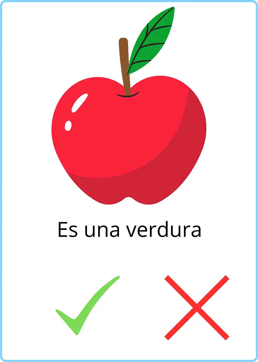 Flascard (2).png