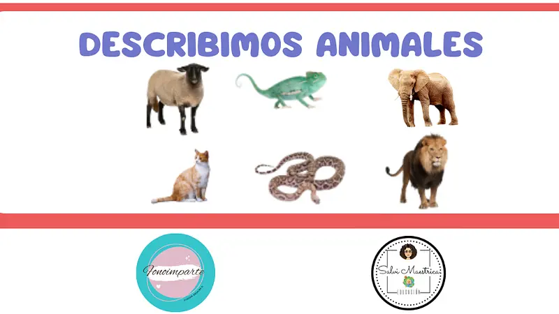 Describimos Animales