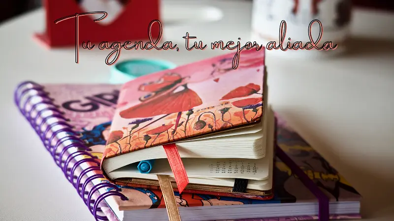 Agendas para cada necesidad: Encuentra tu compañera ideal