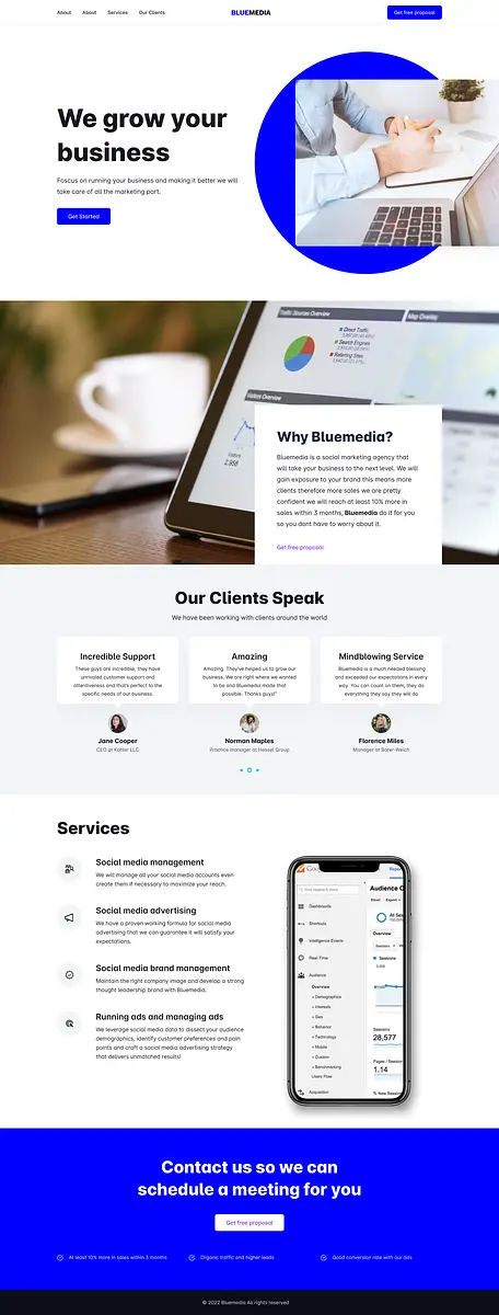 Bluemedia website.png