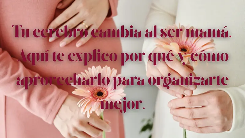 Cómo la maternidad cambia tu cerebro y cómo usar eso a tu favor