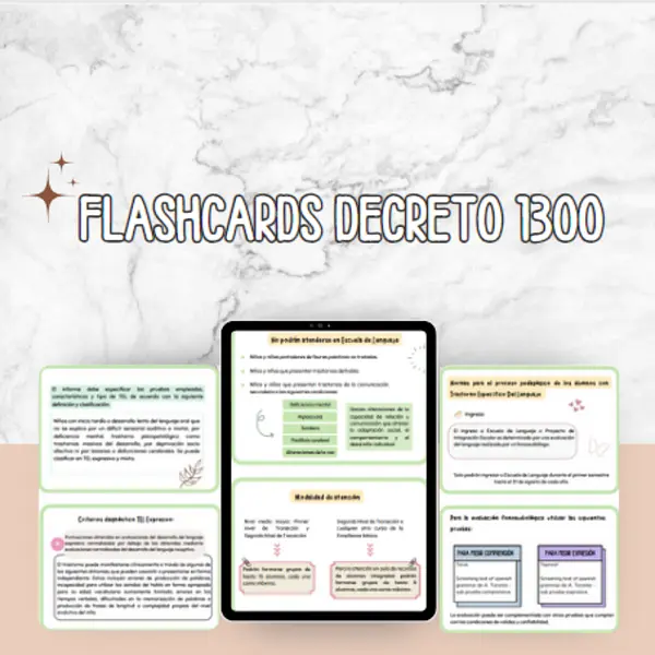 Flashcards: Decreto 1300