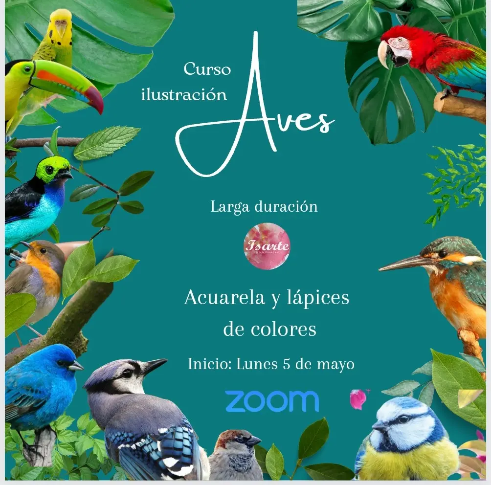 Curso aves acuarela y lápices